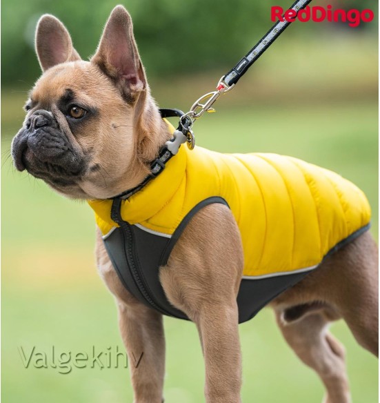 Soe jope koerale Puffer Jacket (Red Dingo)