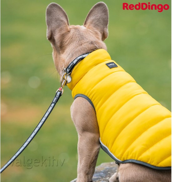 Soe jope koerale Puffer Jacket (Red Dingo)