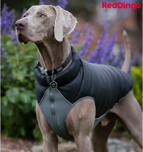 Soe jope koerale Puffer Jacket (Red Dingo)