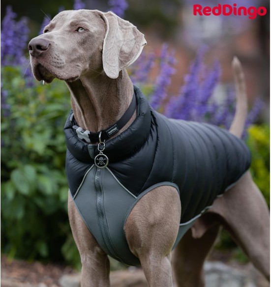 Soe jope koerale Puffer Jacket (Red Dingo)