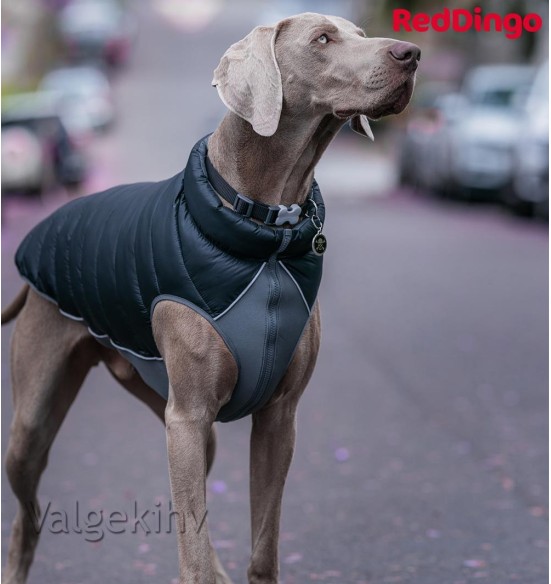 Soe jope koerale Puffer Jacket (Red Dingo)