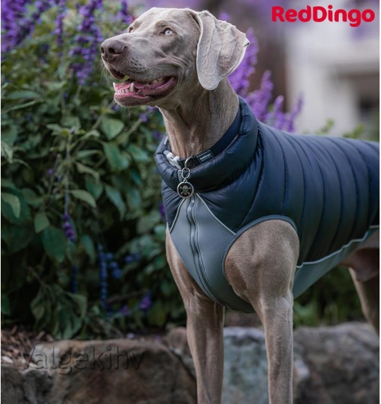 Soe jope koerale Puffer Jacket (Red Dingo)