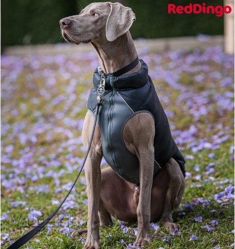 Soe jope koerale Puffer Jacket (Red Dingo)