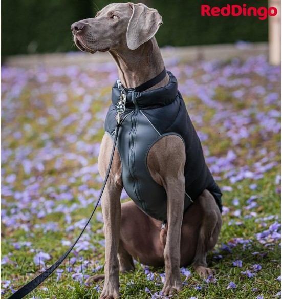 Soe jope koerale Puffer Jacket (Red Dingo)