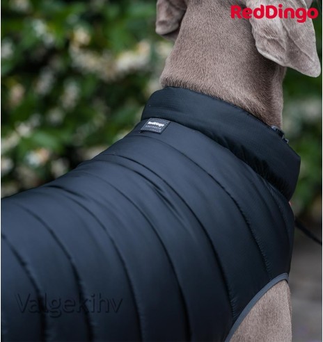 Soe jope koerale Puffer Jacket (Red Dingo)