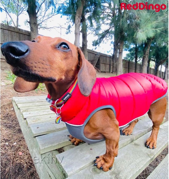 Soe jope koerale Puffer Jacket puhvjope punande (Red Dingo)