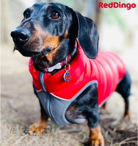 Теплая зимняя куртка для собак, двусторонняя, красная Puffer Jacket (Red Dingo)