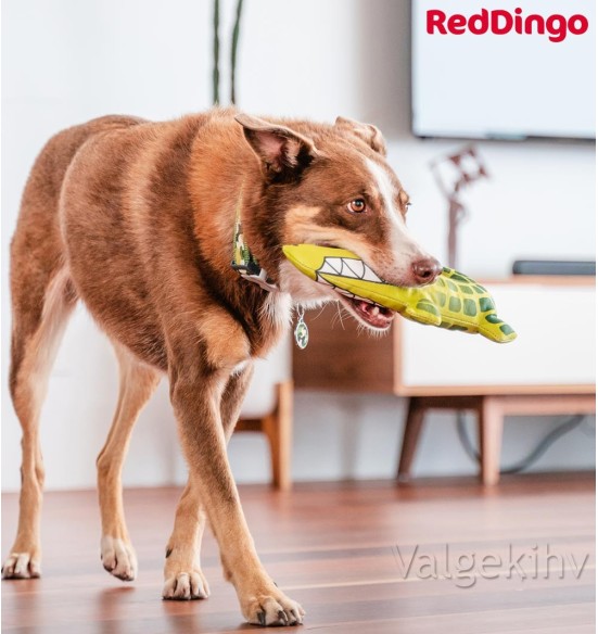 Pehme mänguasi koerale krokodill Kyle the Crocodile (Red Dingo)