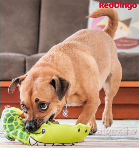 Pehme mänguasi koerale krokodill Kyle the Crocodile (Red Dingo)