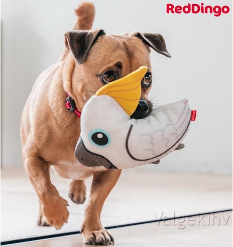 Pehme mänguasi koerale KAKADUU Craig the Cockatoo Durable (Red Dingo)