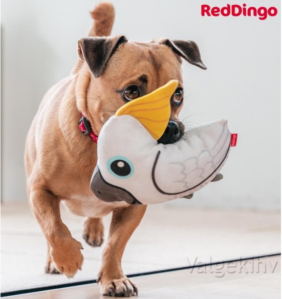 Pehme mänguasi koerale KAKADUU Craig the Cockatoo Durable (Red Dingo)