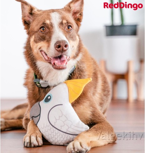 Pehme mänguasi koerale KAKADUU Craig the Cockatoo Durable (Red Dingo)