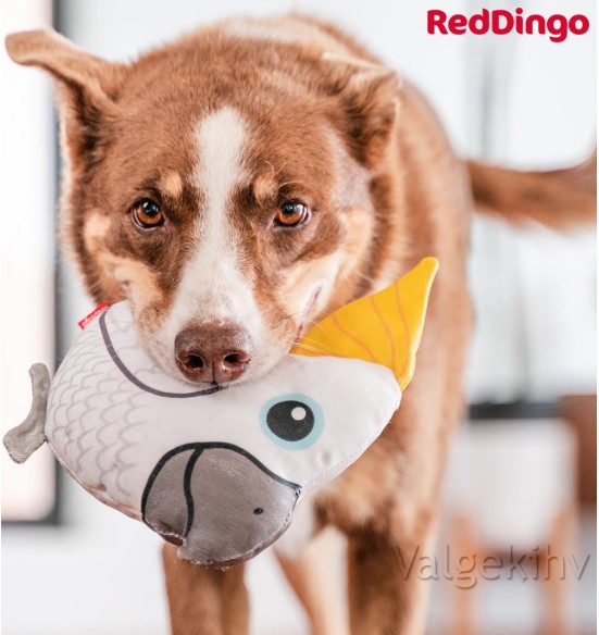 Pehme mänguasi koerale KAKADUU Craig the Cockatoo Durable (Red Dingo)