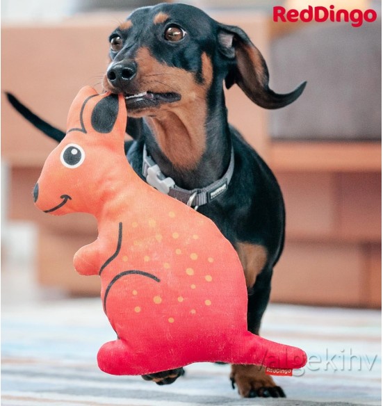 Pehme mänguasi koerale KÄNGURU Kath the Kangaroo Durable (Red Dingo)