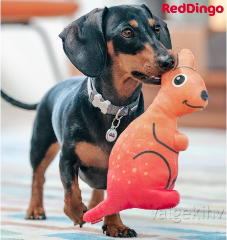 Pehme mänguasi koerale KÄNGURU Kath the Kangaroo Durable (Red Dingo)