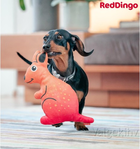 Pehme mänguasi koerale KÄNGURU Kath the Kangaroo Durable (Red Dingo)