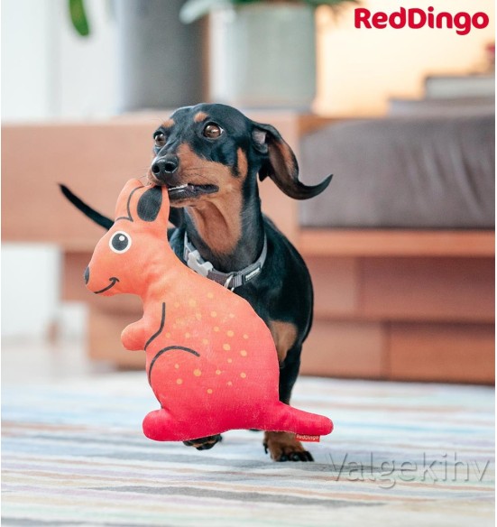 Pehme mänguasi koerale KÄNGURU Kath the Kangaroo Durable (Red Dingo)