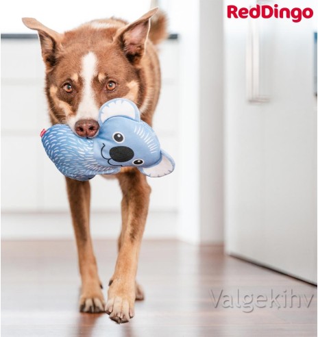Особо прочная игрушка для собак КОАЛА КИМ (Kim the Koala) Durable (Red Dingo)