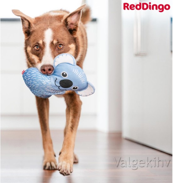 Особо прочная игрушка для собак КОАЛА КИМ (Kim the Koala) Durable (Red Dingo)