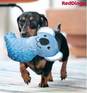 Особо прочная игрушка для собак КОАЛА КИМ (Kim the Koala) Durable (Red Dingo) 2