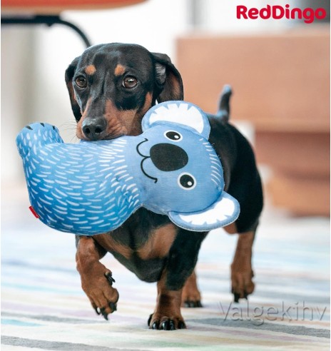 Особо прочная игрушка для собак КОАЛА КИМ (Kim the Koala) Durable (Red Dingo)