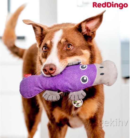 Особо прочная игрушка для собак УТКОНОС ПЭМ (Pam the Platypus) Durable (Red Dingo)