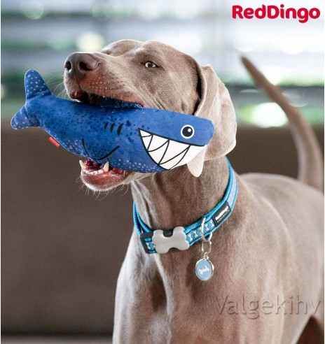 Pehme mänguasi koerale HAIKALA Steve the Shark Durable (Red Dingo)
