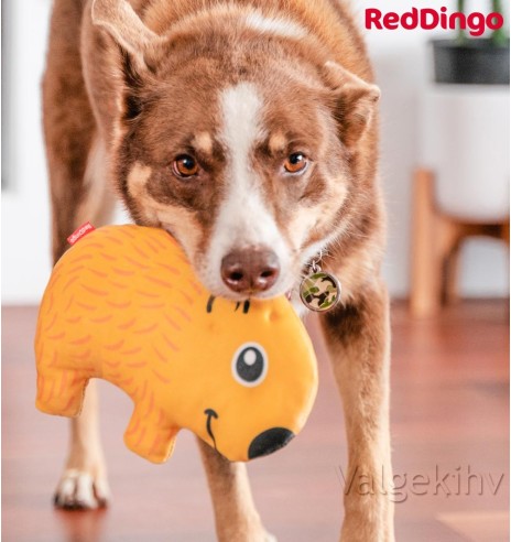 Pehme mänguasi koerale VOMBAT Wendy the Wombat Durable (Red Dingo)