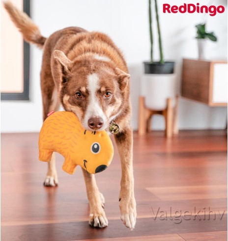 Pehme mänguasi koerale VOMBAT Wendy the Wombat Durable (Red Dingo)