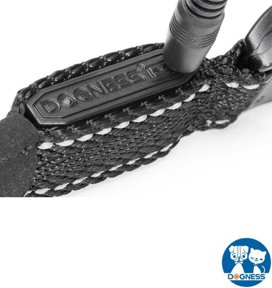 LED-valgusega tekstiilist kaelarihm koerale, punane, 8 valgusrežiimi (Dogness)