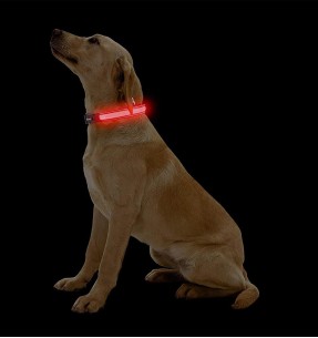 BEWI DOG SENSITIVE teraviljavaba kuivtoit koerale, monovalguline (ADULT SENSITIVE GF)–Kuivtoidud koertele–BEWI DOG–Valgekihv 2