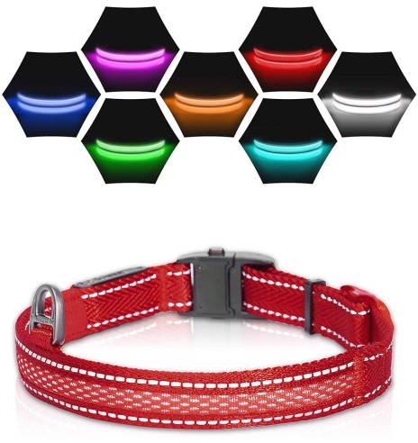 LED-valgusega tekstiilist kaelarihm koerale, punane, 8 valgusrežiimi (Dogness)