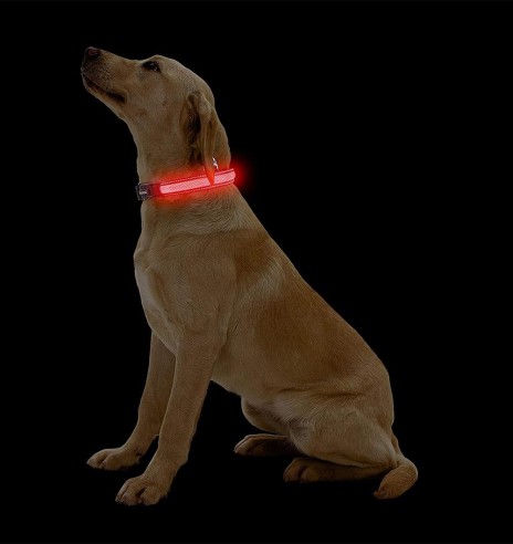 LED-valgusega tekstiilist kaelarihm koerale, lilla, 8 valgusrežiimi (Dogness)