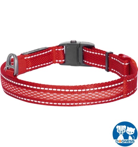 LED-valgusega tekstiilist kaelarihm koerale, punane, 8 valgusrežiimi (Dogness)