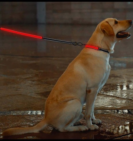 LED-valgusega tekstiilist jalutusrihm koerale, must, 8 valgusrežiimi (Dogness)