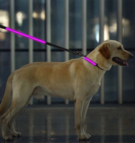 LED-valgusega tekstiilist jalutusrihm koerale, must, 8 valgusrežiimi (Dogness)