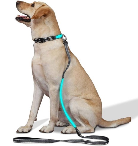 LED-valgusega tekstiilist jalutusrihm koerale, must, 8 valgusrežiimi (Dogness)