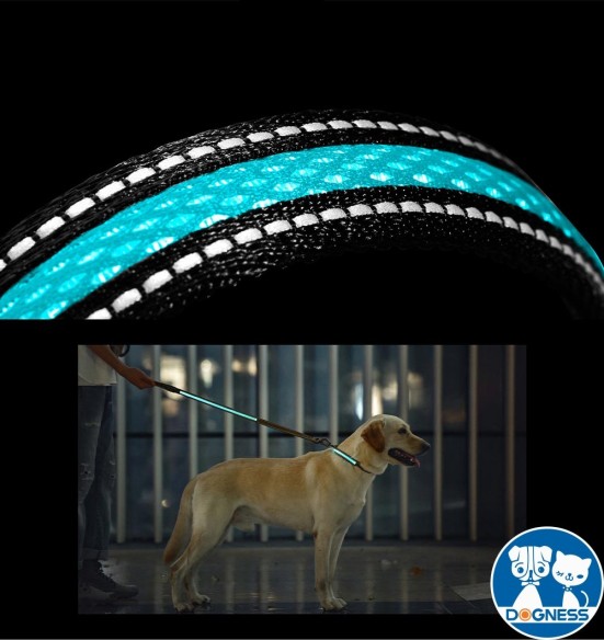 LED-valgusega tekstiilist jalutusrihm koerale, must, 8 valgusrežiimi (Dogness)