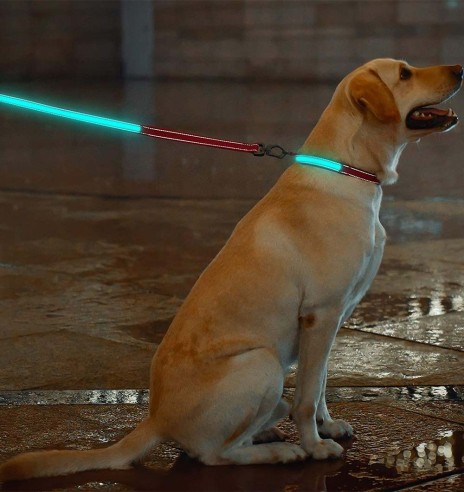 LED-valgusega tekstiilist jalutusrihm koerale, punane, 8 valgusrežiimi (Dogness)