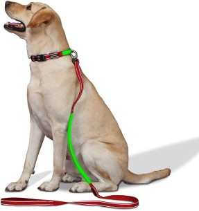 Нейлоновый поводок для собак Classic, 1.1–1.8 м, серый (Red Dingo) – Прогулочные поводки из текстиля – Red Dingo – Valgekihv 2