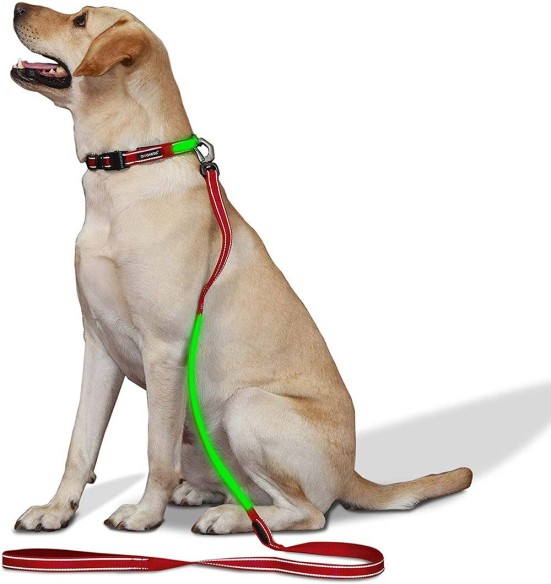 LED-valgusega tekstiilist jalutusrihm koerale, punane, 8 valgusrežiimi (Dogness)