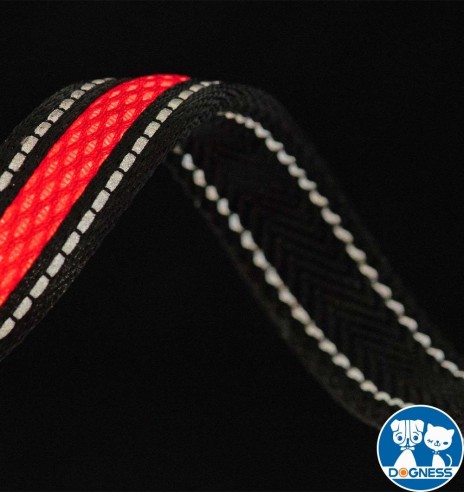 LED-valgusega tekstiilist jalutusrihm koerale, lilla, 8 valgusrežiimi (Dogness)