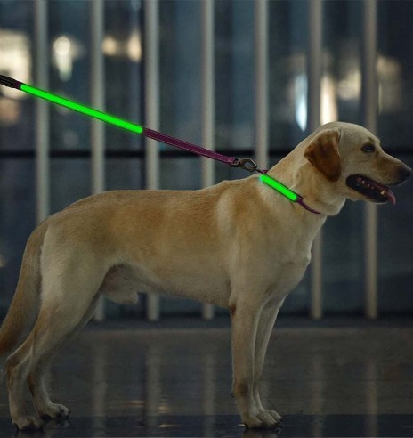 LED-valgusega tekstiilist jalutusrihm koerale, lilla, 8 valgusrežiimi (Dogness)