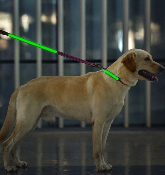 LED-valgusega tekstiilist jalutusrihm koerale, lilla, 8 valgusrežiimi (Dogness)
