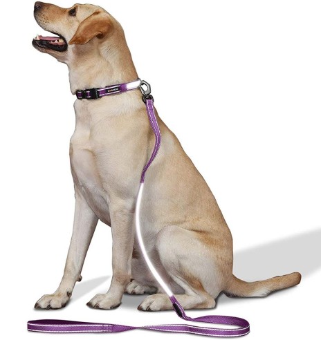 LED-valgusega tekstiilist jalutusrihm koerale, lilla, 8 valgusrežiimi (Dogness)