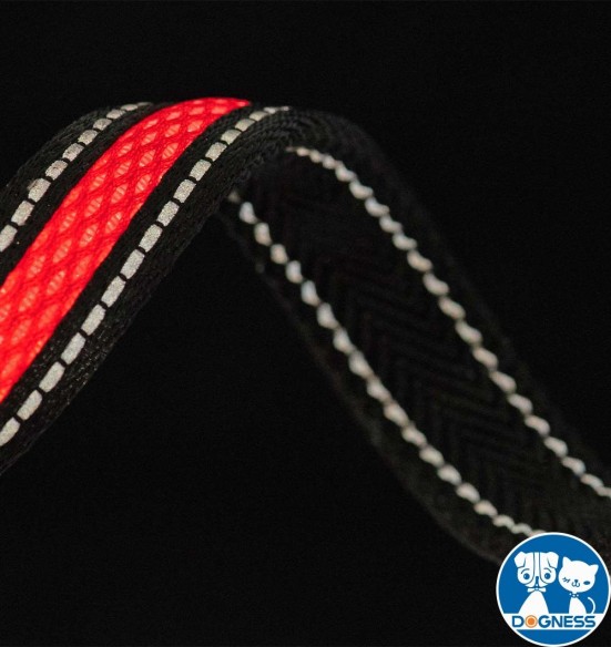 LED-valgusega tekstiilist jalutusrihm koerale, pruun, 8 valgusrežiimi (Dogness)