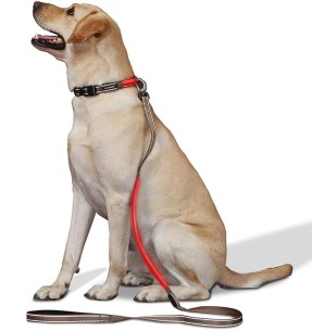 Лососевое масло для собак и кошек (Boxby) – Масла – Boxby – Valgekihv 2