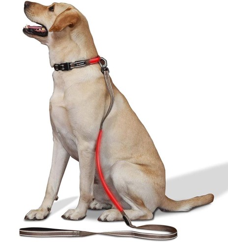 LED-valgusega tekstiilist jalutusrihm koerale, pruun, 8 valgusrežiimi (Dogness)