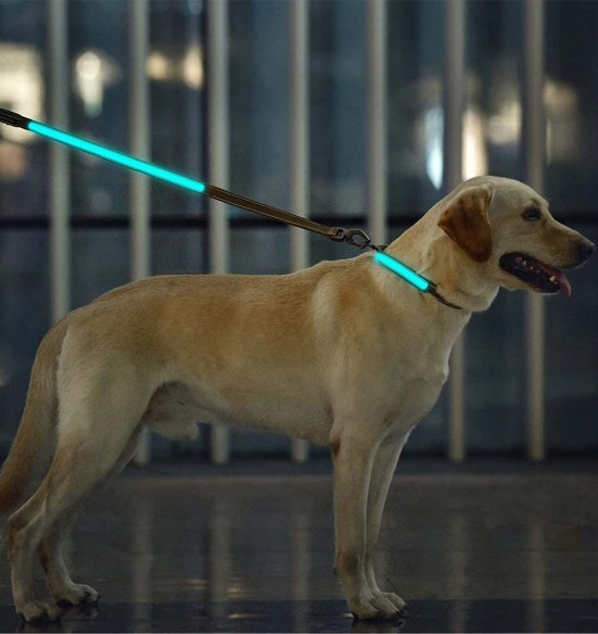 LED-valgusega tekstiilist jalutusrihm koerale, pruun, 8 valgusrežiimi (Dogness) LED-valgusega tekstiilist jalutusrihm koerale, pruun, 8 valgusrežiimi (Dogness)