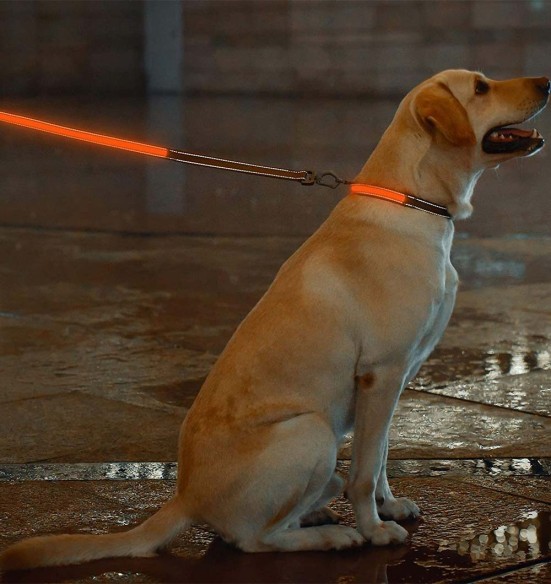 LED-valgusega tekstiilist jalutusrihm koerale, pruun, 8 valgusrežiimi (Dogness)